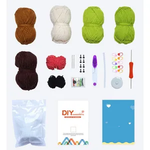 DIY crochet kit for cactus potted plants with colorful yarn and complete tools on white