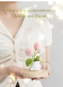 Handmade crochet pink carnations in a glass dome with LED lights on a wooden base