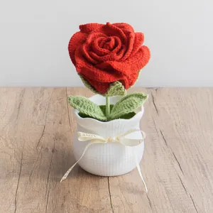 Detail of a handmade crochet red rose in a white pot with a Love Is Eternal ribbon