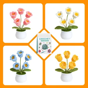 Kit uncinetto per principianti con quattro fiori colorati in vaso e accessori fai-da-te