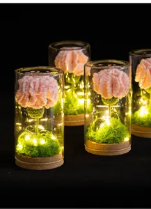 Handmade crochet flower night light in a glass dome with warm LED lighting on cork base