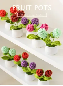 Macro view of assorted knitted pine cone flower pots on a white tiered display shelf