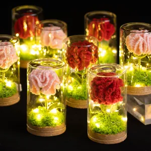 Handmade Crochet Carnation Flower In Glass Dome LED Night Light Gift For Mother Women Birthday Valentine Romantic Ornament