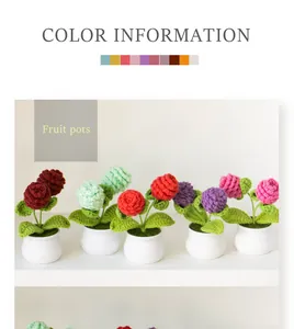 Detailed close-up of handmade crochet pine cone pot plants in vibrant multi-color yarn