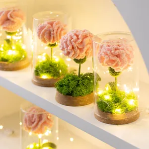 Handmade crochet pink carnation flower in glass dome with warm LED fairy lights