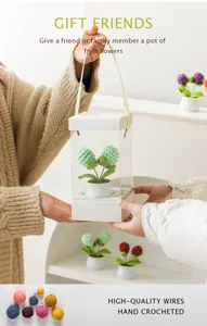 Hand crocheted potted flower bouquet in a transparent gift box for home decoration
