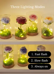 Detail van handgemaakte gehaakte rozen in glas met drie verschillende LED-lichtmodi