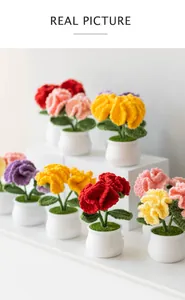 Close-up of handmade crochet carnation flowers in white ceramic pots in various colors