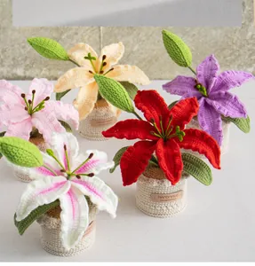 Detail of handmade crochet lily potted plants with artisanal leather tags in five colors