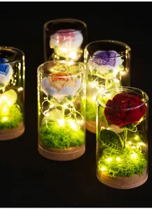 Detail van handgemaakte gehaakte roos met warme LED-verlichting in glas