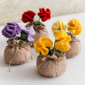 Plante en Pot Oeillet au Crochet Fait Main Ornement de Fleur Artificielle Cadeau Fête des Mères Déco Table Fleurs en Fil