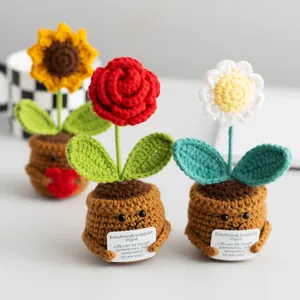 Piante positive all'uncinetto fatte a mano con girasole e rosa in vasi carini con messaggi