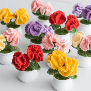 Handmade crochet carnation potted plant with dual flowers in various vibrant colors