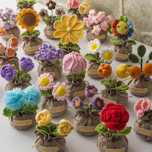 Detailansicht handgefertigter Häkelblumen-Mini-Topfpflanzen mit bunten Strickblüten