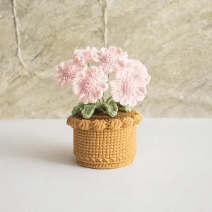 Detail showing hand-crocheted pink daisy petals and intricate knit texture in a pot
