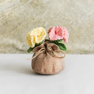 Œillet fait main au crochet dans un sac en toile de jute pour cadeau de fête des mères