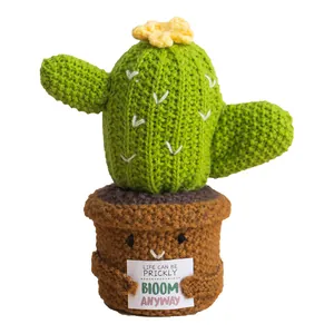 Poupée cactus au crochet faite main avec carte positive et pot à visage souriant