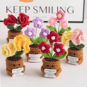 Λεπτομέρεια από χειροποίητα πλεκτά φυτά με κάρτες ψυχολογικής υποστήριξης για το γραφείο