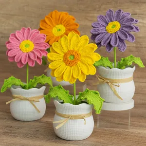 Ensemble de quatre fleurs de marguerites africaines au crochet dans des pots blancs