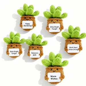 Handgehäkelte Positive Sukkulenten Topfpflanze Puppe Mit Motivationskarte Gestrickte Künstliche Blume Schreibtisch Büro Deko Geschenk