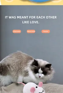 Detailopname van witte elektronische speelgoedmuis voor katten met roze oren en staart
