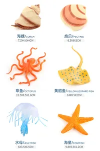 Gedetailleerde set van zeedierenmodellen met octopus en zeester inclusief afmetingen