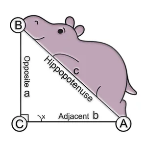 Detailed view of hippo cartoon enamel pin with funny hippopotenuse math equation graphic