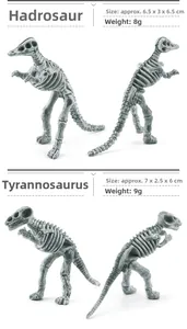 Detailed size view of Hadrosaur and T-Rex skeleton models with resin bone texture