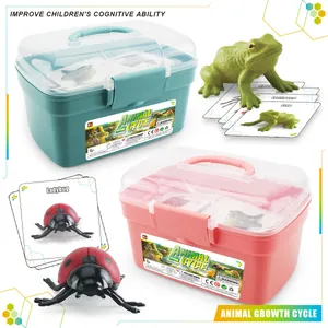 Kit éducatif cycle de vie animal avec figurines grenouille et coccinelle et boîtes