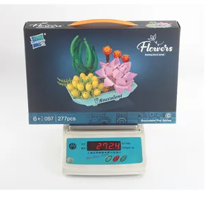 Close-up of succulent building blocks packaging on an electronic scale weighing 272g