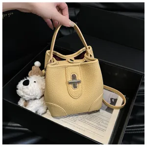 Detail view of beige lychee grain bucket bag with silver clasp in gift box