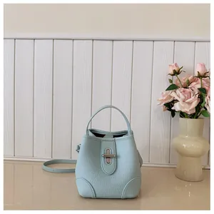 Detail of light blue bucket bag showing lychee grain leather and silver twist lock