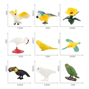 Set de 9 piezas de aves en miniatura realistas con loros y búhos con dimensiones dadas