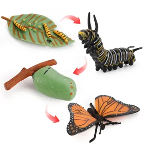 Simulation Insect Growth Cycle Model Toy Butterfly Stag Beetle Biological Life Stages Science Educational Figure For Kids