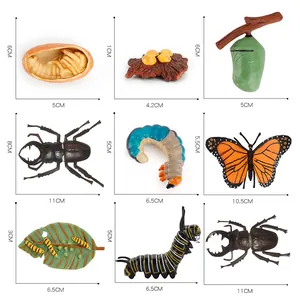 Realistic 9-piece insect life cycle model set for early education with size markings
