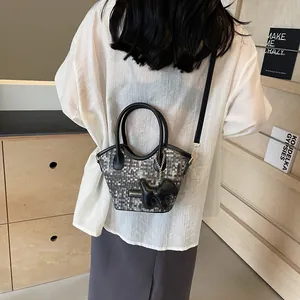 Sac seau chic en tweed à carreaux avec poignée en cuir et bijou de sac chien porté par modèle