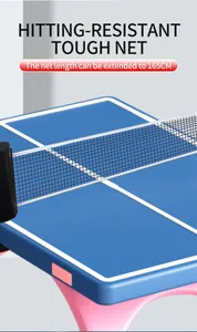 Detail van uitschuifbaar tafeltennisnet tot 165 cm lengte op een blauwe speeltafel