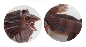 Macro detail of frilled lizard model showing realistic scale texture and open mouth