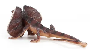 Detailed macro view of frilled-neck lizard model with realistic skin texture and scales