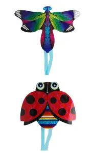Détail des cerfs-volants insectes avec libellule holographique et coccinelle à rubans