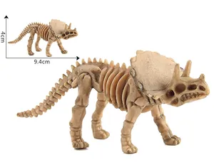Vista dettagliata del modello di scheletro di dinosauro Triceratops con dimensioni