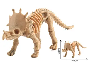 Dettaglio dello scheletro fossile di triceratopo con dimensioni di 9,4 cm x 4,5 cm