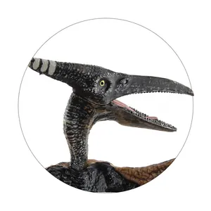 Close-up of Pterosaur toy head showing textured dark skin and white crown stripes