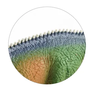 Macro detail of Giganotosaurus toy model showing realistic skin texture and back spines