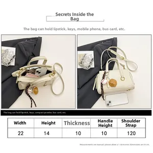 Detailed size guide and interior capacity view of a stylish 22cm crossbody handbag