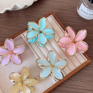 Haarklammer-Set mit Frangipani-Blüten in Pastellfarben und goldenem Rand für Damen
