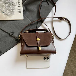 Detail of brown suede and smooth leather bag with gold buckle and size comparison