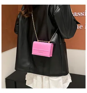 Mini borsa a tracolla rosa con trama a righe verticali e dettaglio tracolla a catena d'oro