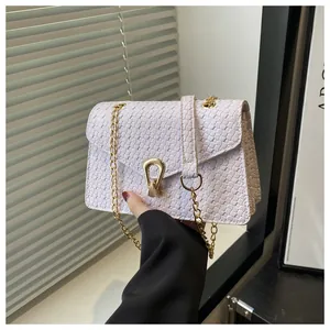 Close-up of a woven texture shoulder bag with golden horseshoe clasp and chain