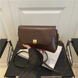 Petit sac carré minimaliste marron foncé avec boucle dorée et bandoulière chic
